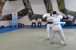 IMG 0589 1024x